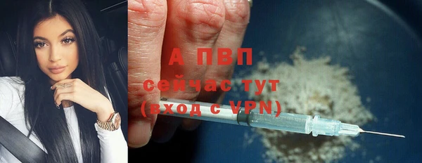 гашик Богородск