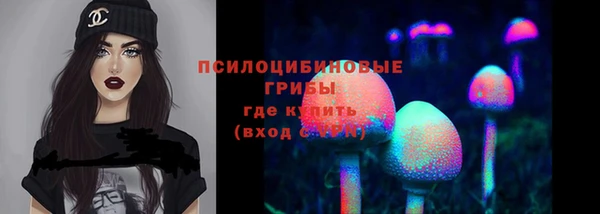гашик Богородск