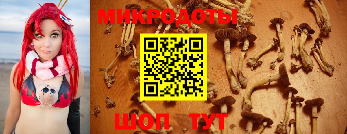Галлюциногенные грибы GOLDEN TEACHER Среднеуральск